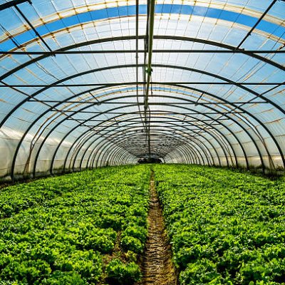 Green Houses